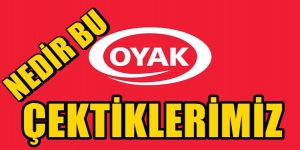 Nedir bu OYAK’tan çektiğimiz?