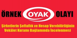OYAK'ın vekalet kuramı bağlamında incelenmesi