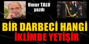 Bir darbeci hangi iklimde yetişir?